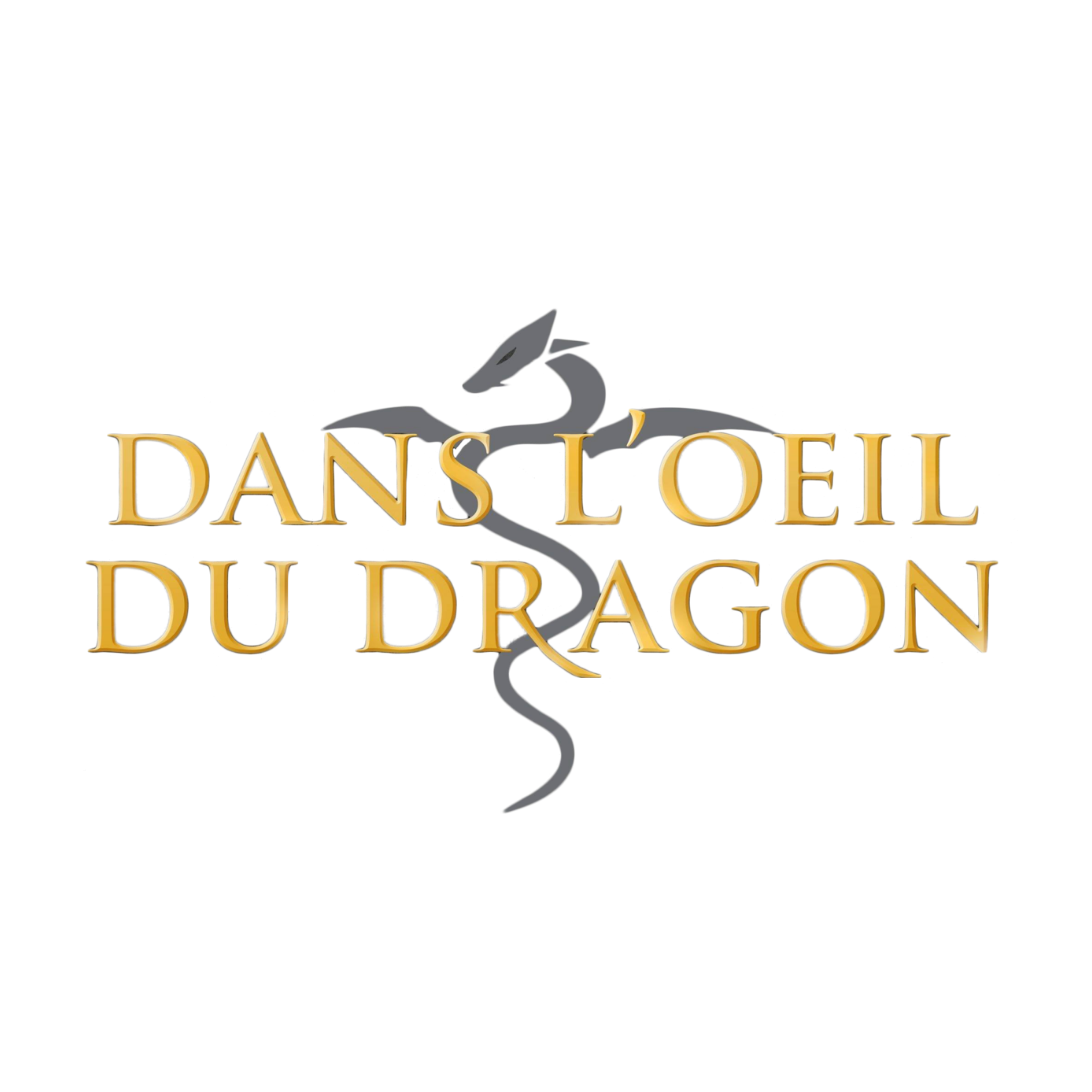 Dans l'oeil du dragon